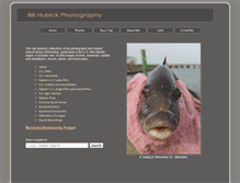 Tablet Screenshot of billhubick.com
